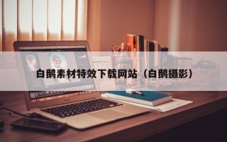 常宁白鹅素材特效下载网站（白鹅摄影）
